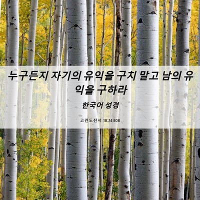 Picture 06 - 고린도전서 10:24 KOR - 누구든지 자기의 유익을 구치 말고 - Bible Verse Picture