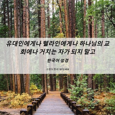 Picture 06 - 고린도전서 10:32 KOR - 유대인에게나 헬라인에게나 - Bible Verse Picture