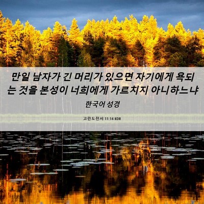 Picture 06 - 고린도전서 11:14 KOR - 만일 남자가 긴 머리가 있으면 - Bible Verse Picture