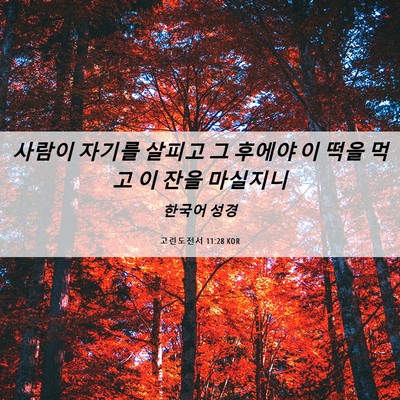 Picture 06 - 고린도전서 11:28 KOR - 사람이 자기를 살피고 그 후에야 이 - Bible Verse Picture