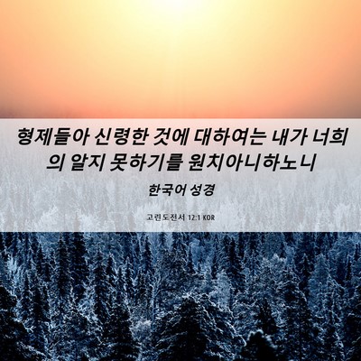 Picture 06 - 고린도전서 12:1 KOR - 형제들아 신령한 것에 대하여는 내가 - Bible Verse Picture