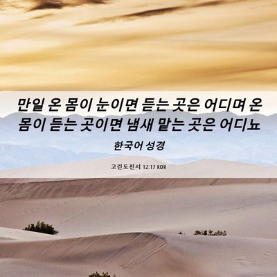 Picture 06 - 고린도전서 12:17 KOR - 만일 온 몸이 눈이면 듣는 곳은 - Bible Verse Picture