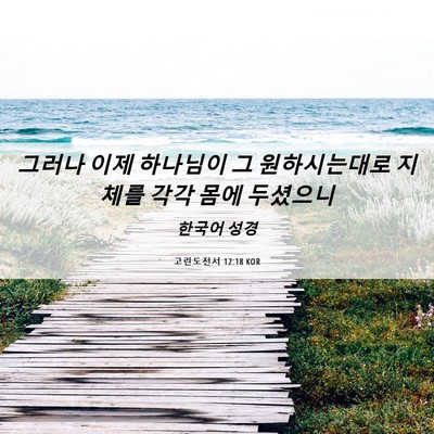 Picture 06 - 고린도전서 12:18 KOR - 그러나 이제 하나님이 그 - Bible Verse Picture