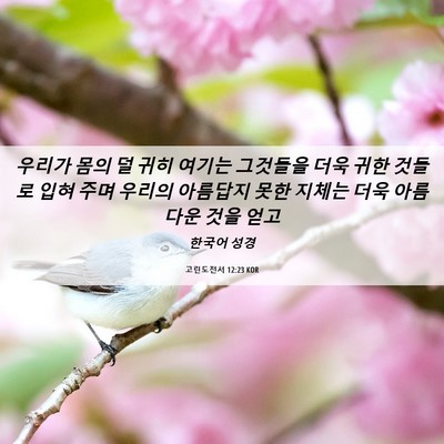 Picture 06 - 고린도전서 12:23 KOR - 우리가 몸의 덜 귀히 여기는 - Bible Verse Picture
