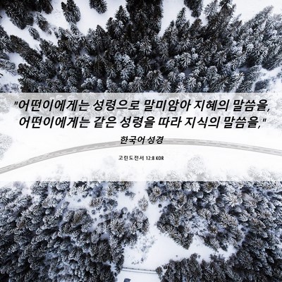Picture 06 - 고린도전서 12:8 KOR - 
