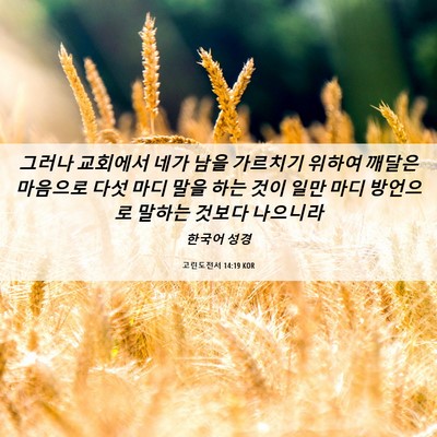 Picture 06 - 고린도전서 14:19 KOR - 그러나 교회에서 네가 남을 가르치기 - Bible Verse Picture