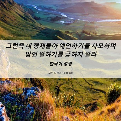 Picture 06 - 고린도전서 14:39 KOR - 그런즉 내 형제들아 예언하기를 - Bible Verse Picture