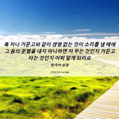 Picture 06 - 고린도전서 14:7 KOR - 혹 저나 거문고와 같이 생명 없는 - Bible Verse Picture