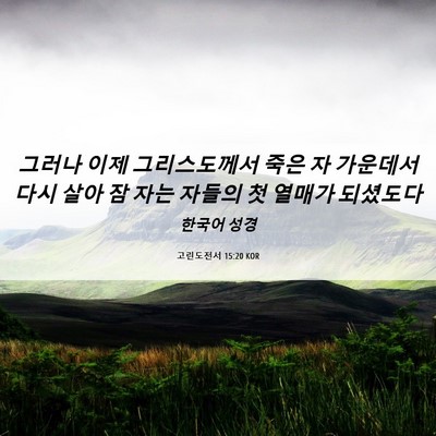 Picture 06 - 고린도전서 15:20 KOR - 그러나 이제 그리스도께서 죽은 자 - Bible Verse Picture