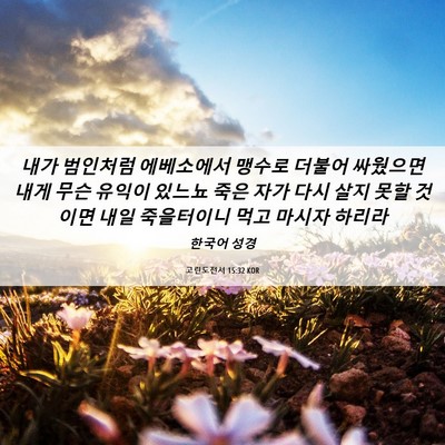 Picture 06 - 고린도전서 15:32 KOR - 내가 범인처럼 에베소에서 맹수로 - Bible Verse Picture