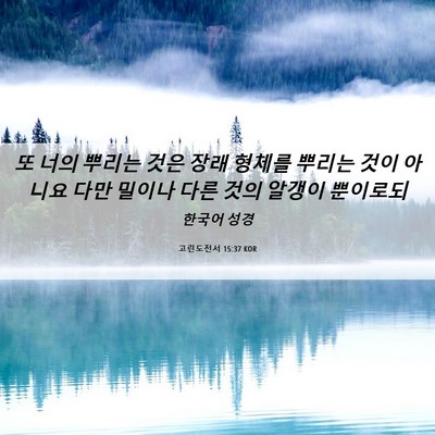 Picture 06 - 고린도전서 15:37 KOR - 또 너의 뿌리는 것은 장래 형체를 - Bible Verse Picture