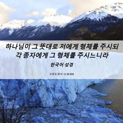 Picture 06 - 고린도전서 15:38 KOR - 하나님이 그 뜻대로 저에게 형체를 - Bible Verse Picture