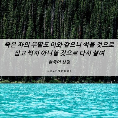 Picture 06 - 고린도전서 15:42 KOR - 죽은 자의 부활도 이와 같으니 썩을 - Bible Verse Picture