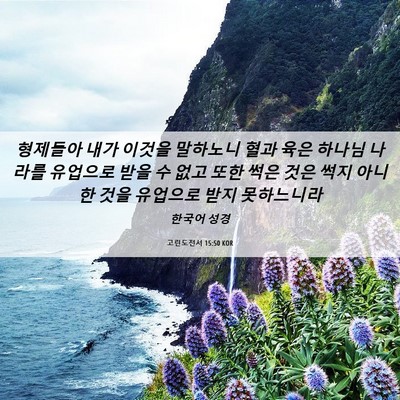 Picture 06 - 고린도전서 15:50 KOR - 형제들아 내가 이것을 말하노니 혈과 - Bible Verse Picture