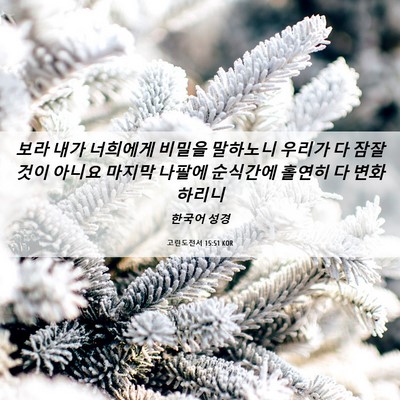 Picture 06 - 고린도전서 15:51 KOR - 보라 내가 너희에게 비밀을 말하노니 - Bible Verse Picture
