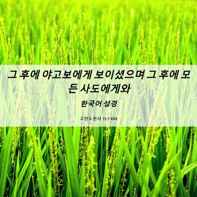 Picture 06 - 고린도전서 15:7 KOR - 그 후에 야고보에게 보이셨으며 그 - Bible Verse Picture