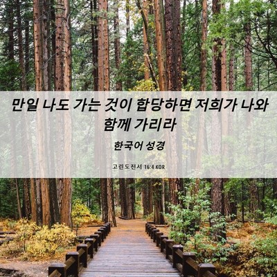 Picture 06 - 고린도전서 16:4 KOR - 만일 나도 가는 것이 합당하면 - Bible Verse Picture