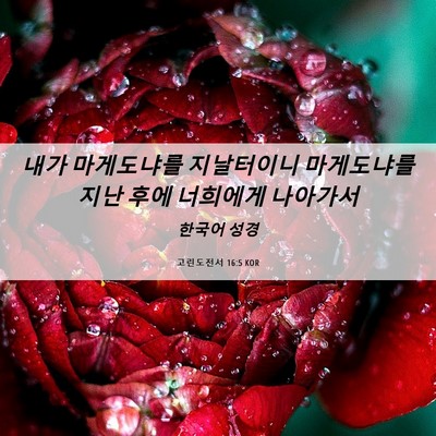 Picture 06 - 고린도전서 16:5 KOR - 내가 마게도냐를 지날터이니 - Bible Verse Picture