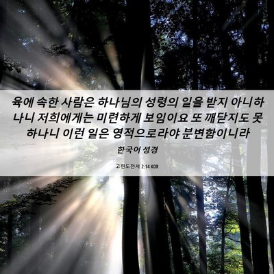 Picture 06 - 고린도전서 2:14 KOR - 육에 속한 사람은 하나님의 성령의 - Bible Verse Picture