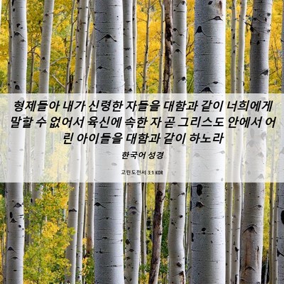 Picture 06 - 고린도전서 3:1 KOR - 형제들아 내가 신령한 자들을 대함과 - Bible Verse Picture