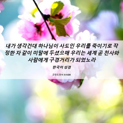 Picture 06 - 고린도전서 4:9 KOR - 내가 생각건대 하나님이 사도인 - Bible Verse Picture