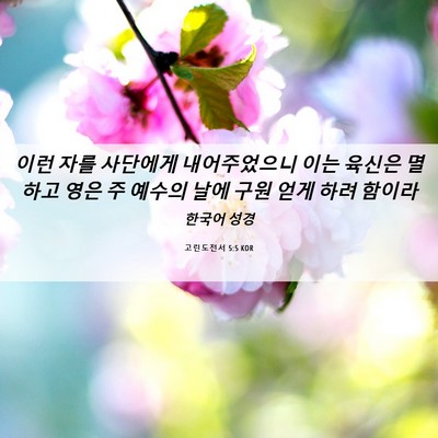 Picture 06 - 고린도전서 5:5 KOR - 이런 자를 사단에게 내어주었으니 - Bible Verse Picture