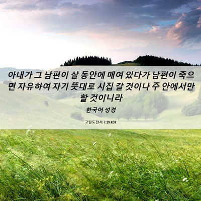 Picture 06 - 고린도전서 7:39 KOR - 아내가 그 남편이 살 동안에 매여 - Bible Verse Picture