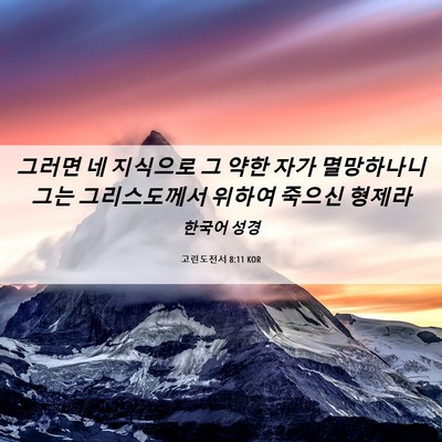 Picture 06 - 고린도전서 8:11 KOR - 그러면 네 지식으로 그 약한 자가 - Bible Verse Picture
