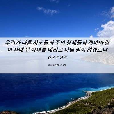 Picture 06 - 고린도전서 9:5 KOR - 우리가 다른 사도들과 주의 형제들과 - Bible Verse Picture