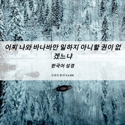 Picture 06 - 고린도전서 9:6 KOR - 어찌 나와 바나바만 일하지 아니할 - Bible Verse Picture