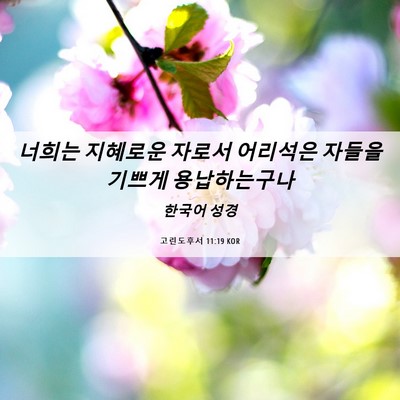 Picture 06 - 고린도후서 11:19 KOR - 너희는 지혜로운 자로서 어리석은 - Bible Verse Picture