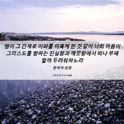 Picture 06 - 고린도후서 11:3 KOR - 뱀이 그 간계로 이와를 미혹케 한 것 - Bible Verse Picture
