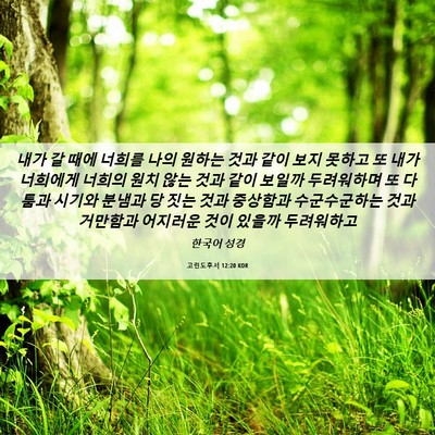 Picture 06 - 고린도후서 12:20 KOR - 내가 갈 때에 너희를 나의 원하는 - Bible Verse Picture