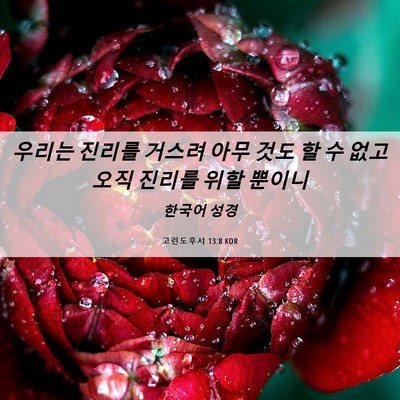 Picture 06 - 고린도후서 13:8 KOR - 우리는 진리를 거스려 아무 것도 할 - Bible Verse Picture