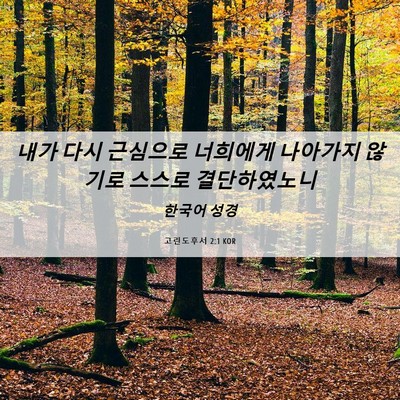 Picture 06 - 고린도후서 2:1 KOR - 내가 다시 근심으로 너희에게 - Bible Verse Picture