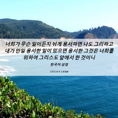 Picture 06 - 고린도후서 2:10 KOR - 너희가 무슨 일이든지 뉘게 용서하면 - Bible Verse Picture