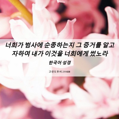 Picture 06 - 고린도후서 2:9 KOR - 너희가 범사에 순종하는지 그 증거를 - Bible Verse Picture