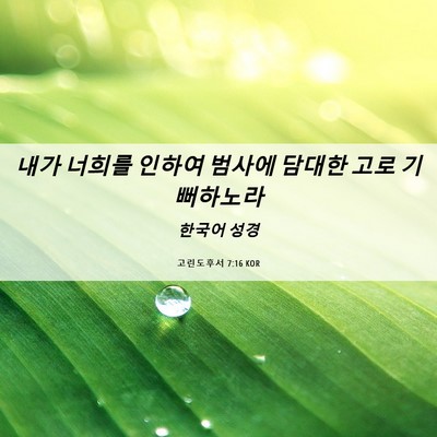 Picture 06 - 고린도후서 7:16 KOR - 내가 너희를 인하여 범사에 담대한 - Bible Verse Picture