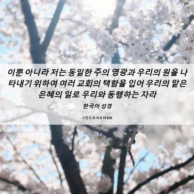 Picture 06 - 고린도후서 8:19 KOR - 이뿐 아니라 저는 동일한 주의 - Bible Verse Picture