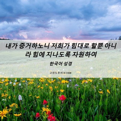 Picture 06 - 고린도후서 8:3 KOR - 내가 증거하노니 저희가 힘대로 할뿐 - Bible Verse Picture