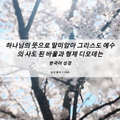 Picture 06 - 골로새서 1:1 KOR - 하나님의 뜻으로 말미암아 그리스도 - Bible Verse Picture
