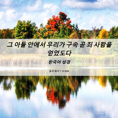 Picture 06 - 골로새서 1:14 KOR - 그 아들 안에서 우리가 구속 곧 죄 - Bible Verse Picture