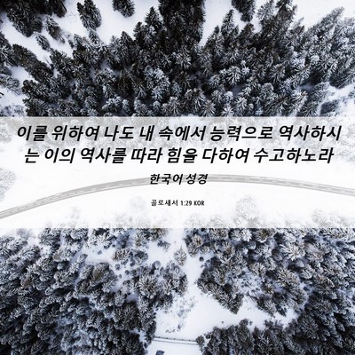 Picture 06 - 골로새서 1:29 KOR - 이를 위하여 나도 내 속에서 - Bible Verse Picture
