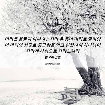 Picture 06 - 골로새서 2:19 KOR - 머리를 붙들지 아니하는지라 온 몸이 - Bible Verse Picture