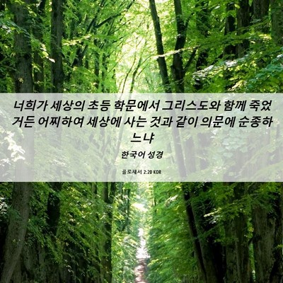 Picture 06 - 골로새서 2:20 KOR - 너희가 세상의 초등 학문에서 - Bible Verse Picture
