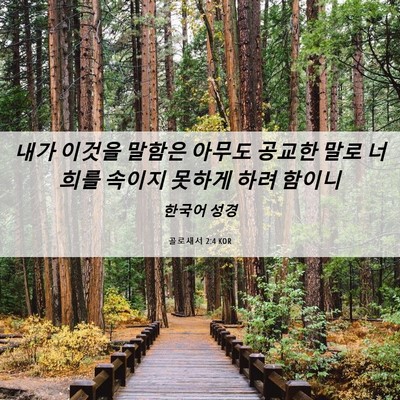 Picture 06 - 골로새서 2:4 KOR - 내가 이것을 말함은 아무도 공교한 - Bible Verse Picture