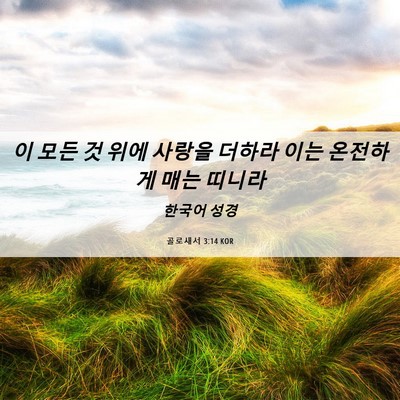 Picture 06 - 골로새서 3:14 KOR - 이 모든 것 위에 사랑을 더하라 이는 - Bible Verse Picture