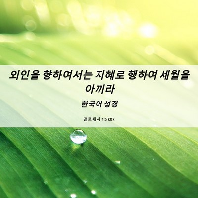 Picture 06 - 골로새서 4:5 KOR - 외인을 향하여서는 지혜로 행하여 - Bible Verse Picture