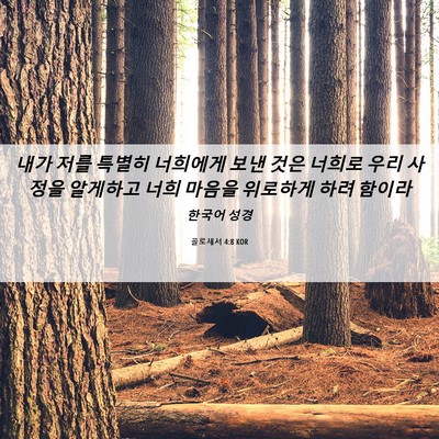 Picture 06 - 골로새서 4:8 KOR - 내가 저를 특별히 너희에게 보낸 - Bible Verse Picture