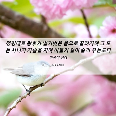 Picture 06 - 나훔 2:7 KOR - 정명대로 왕후가 벌거벗은 몸으로 - Bible Verse Picture